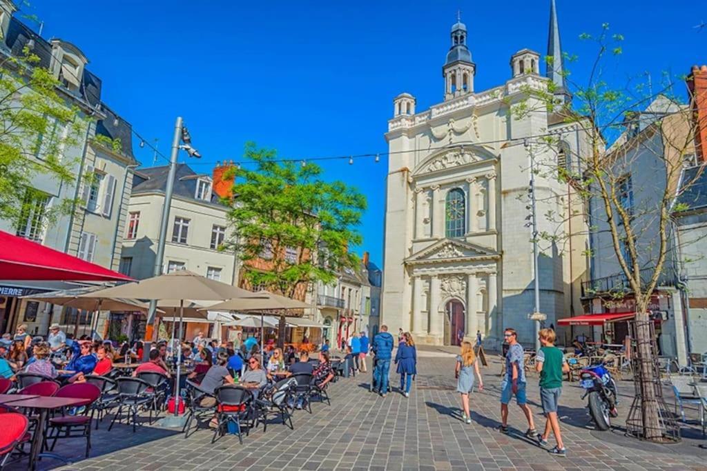Appart' Cosy En Bord De Loire Сомюр Екстериор снимка